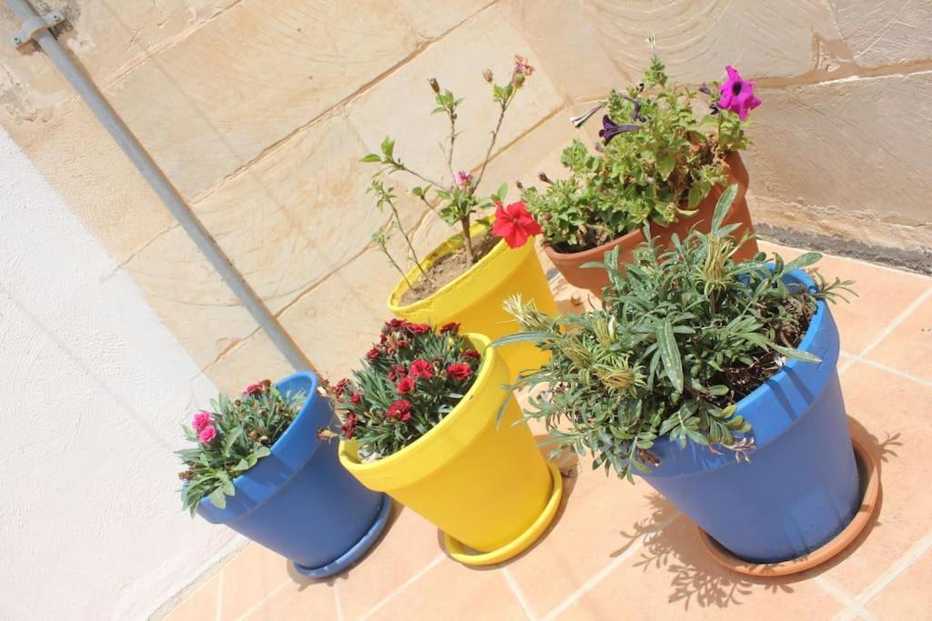 That Little Zurrieq Eksteriør billede